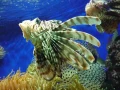 Liguria1.jpg