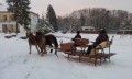 Kulig