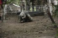 Zajęcia z survivalu - lato 2020