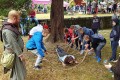 kolonie-w-karpaczu771.jpg