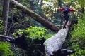 oboz-w-gorach-dla-dzieci-bieszczady.jpg