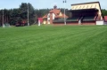 wawrzkowizna-rogowiec (1).jpg