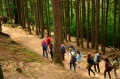 mandalaj-kolonie-w-gorach.jpg