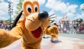 Disneyland zwiedzanie.jpg
