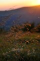 Bieszczady (43).jpg