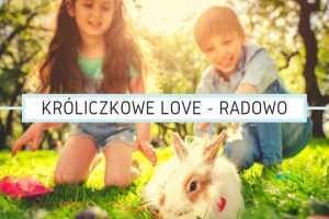 Kolonie letnie dla najmłodszych! Króliczkowe Love, czyli Zielono Mi - Radowo Małe - obóz dla dzieci  6-12 lat OSTATNIE Miejsca!