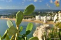 zagraniczne0obozy-mlodziezowe-do-wloch-gargano (6).jpg