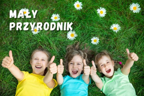 kolonie-dla-maluchow-maly-przyrodnik.jpg