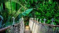 Tropical Islands.jpg