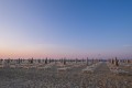 rimini-wlochy-hotel-crown.jpg