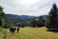 obozy-wedrowne-w-gorach-dla-dzieci-beskidy (3).jpg