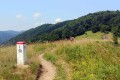 bieszczady-obozy-wedrowne-dla-mlodziezy (6).jpg