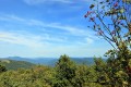 bieszczady-obozy-wedrowne-dla-mlodziezy (12).jpg