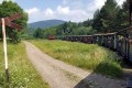 oboz-wedrowny-w-bieszczadach-dziki-san-dla-dzieci-mlodziezy (10).jpg