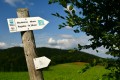 oboz-wedrowny-w-gorach-dla-dzieci (4).jpg