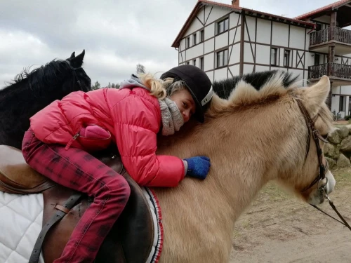 zimowisko z jazda konna 2026 (10).jpg