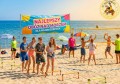 kolonie-nad-morzem-ninja-masters.jpg
