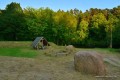 kolonie-w-borach-tucholskich (30).JPG