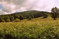 Beskid (23).jpg