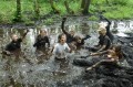 Runowo_adrenalina (21).JPG