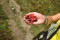 Beskid (24).jpg