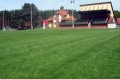 wawrzkowizna-rogowiec (1).jpg