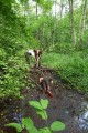 Runowo_adrenalina (16).JPG