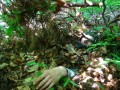 mrzeżyno_stalker (9).jpg