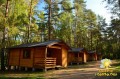 kolonie-w-borach-tucholskich-2.jpg