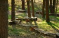 kolonie-w-wielu-zdjecia (7).JPG