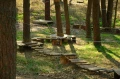 kolonie-w-wielu-zdjecia (7).JPG