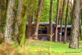 kolonie-w-nowym-dworku (9).JPG