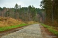 kolonie-w-nowym-dworku (10).JPG