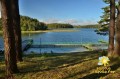 kolonie-bory-tucholskie-6.jpg
