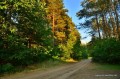 kolonie-w-borach-tucholskich (29).JPG