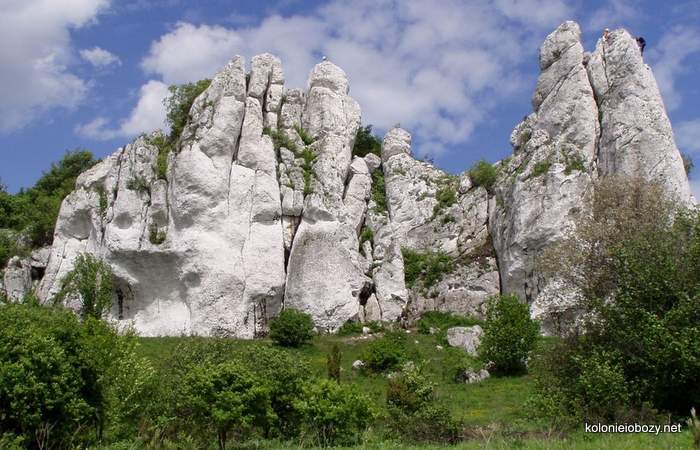 obóz_survialowy_młodziezowy_Jura