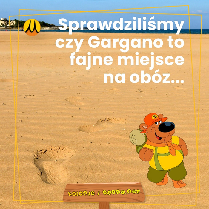 Zobacz co warto wiedzieć przed rezerwacją obozu młodziezowego do Włoch?