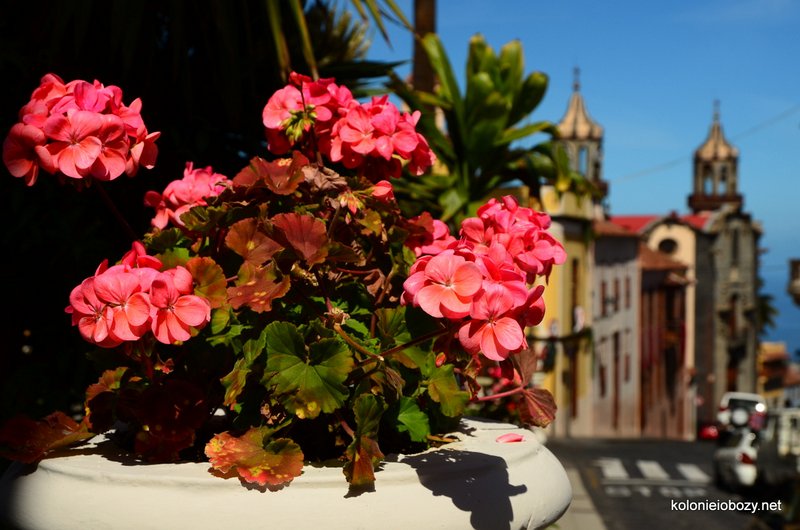 La Orotava - kolonieiobozy.net