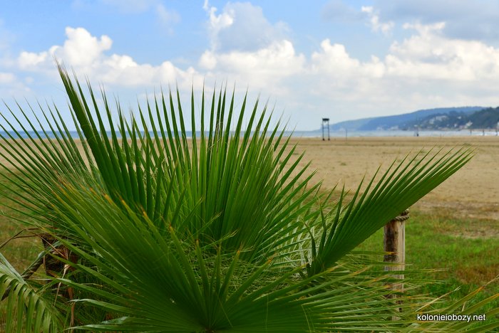 Plaża w Rodi Garganico